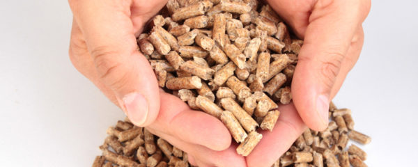 granulés de bois